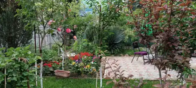 Сказочный - 93