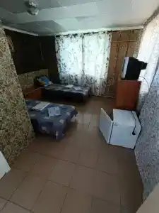 Аист - 8