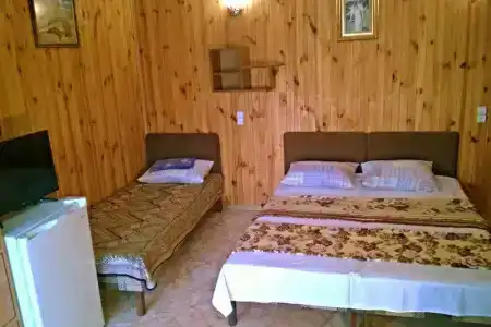 Амадей - 73