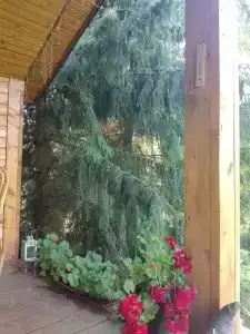 Тихое счастье - 47