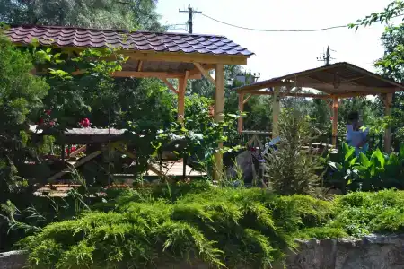 Волна - 65