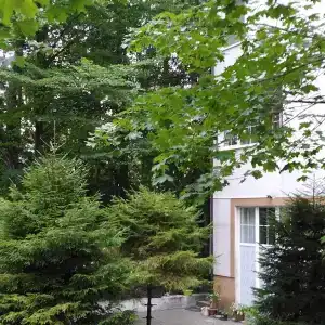 Мечты сбываются - 48