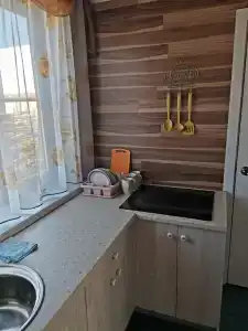 Онежский петроглиф - 68