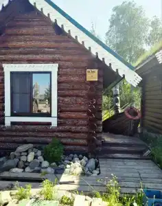 Онежский петроглиф - 65