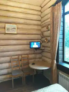 Онежский петроглиф - 87