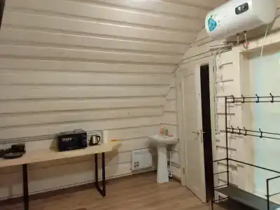 Подберёзовик - 60