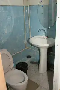 Колосок - 57