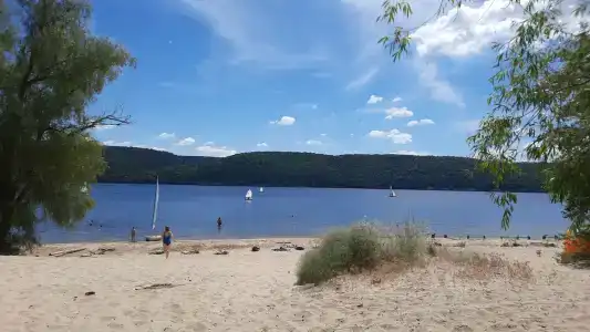 Дом Жар-Птицы - 144