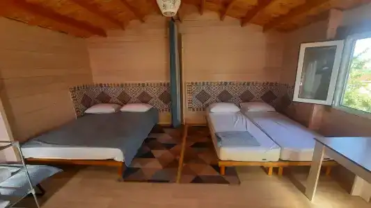 Дом Жар-Птицы - 106