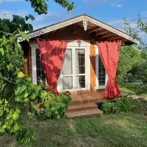 Дом Жар-Птицы - 117