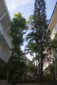 Ark Bar Beach Resort - 44