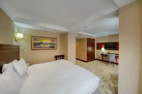 Crowne Plaza Istanbul - Old City, an IHG - 120