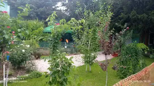 Сказочный - 86