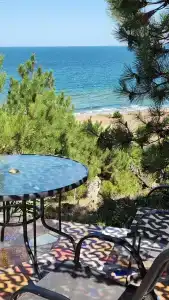 Замок грез - 181