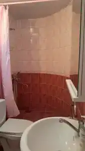 Сосна и Пальмы - 51
