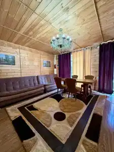 Багира - 55