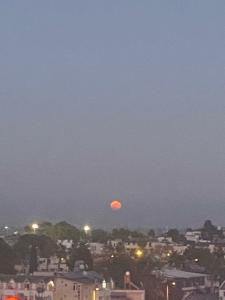 Naturella Apart - 501