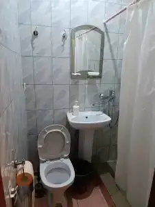 Абсолют на Руставели - 52