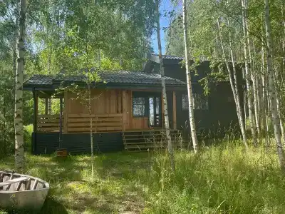 Диоген - 60