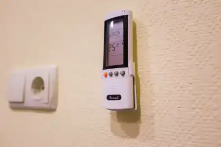 Борода - 52