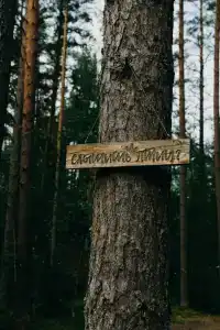 Глэмпинг Shanti Home - 276