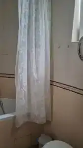 Сосна и Пальмы - 55
