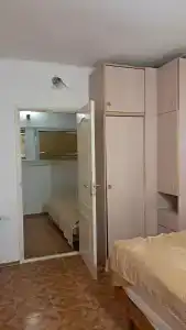 Сосна и Пальмы - 53