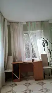 Сосна и Пальмы - 54