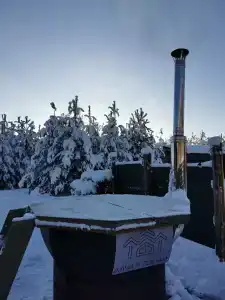 Дача в соснах - 77