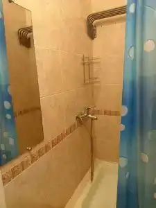 Сосновый - 53