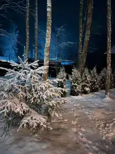 Дом для отпуска у Березы - 70