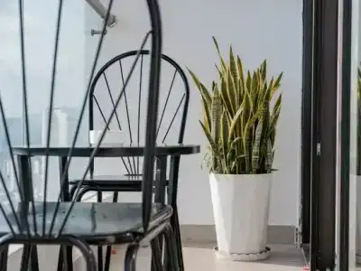 Lemore Nha Trang - 116