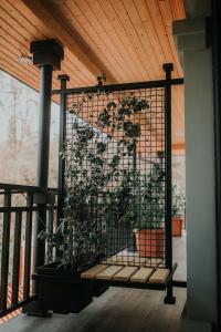 Seventeen Rooms - 102