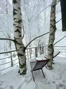 Лапочкино гнездо - 81