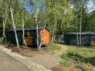 Чайка - 51
