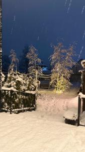 Rexar - 85