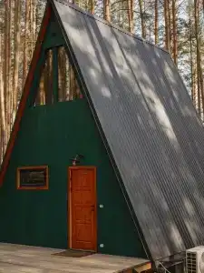 Шелест - 64