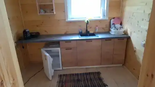 Подсолнухи - 51