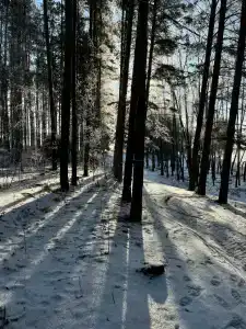 Йола - 79