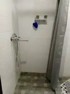 Красная Роза - 99