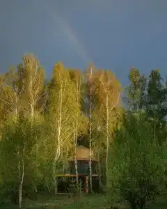 Лапочкино гнездо - 71