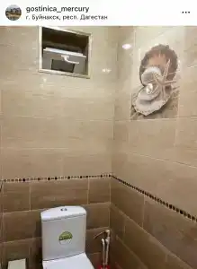 Меркурий - 51