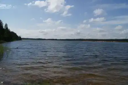 Дом на озере с баней - 85