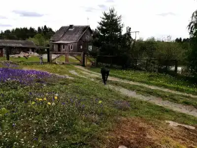 Вечера на Хуторе - 83