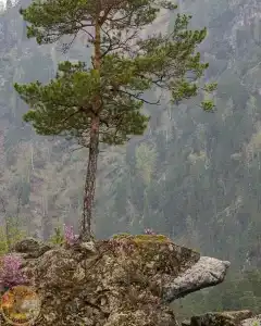 Таш Баатыр - 136