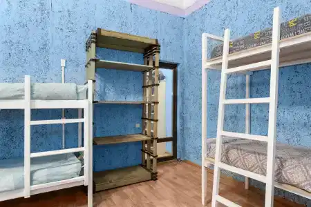 Тапки - 71
