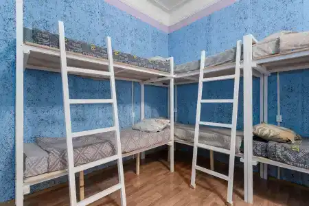 Тапки - 65