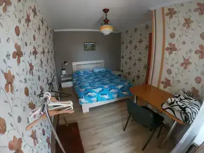 Фиолентовский - 66