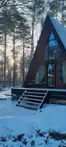 Шишки Парк - 51