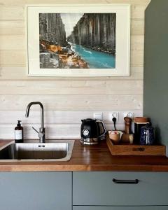 Дубльдом - 505